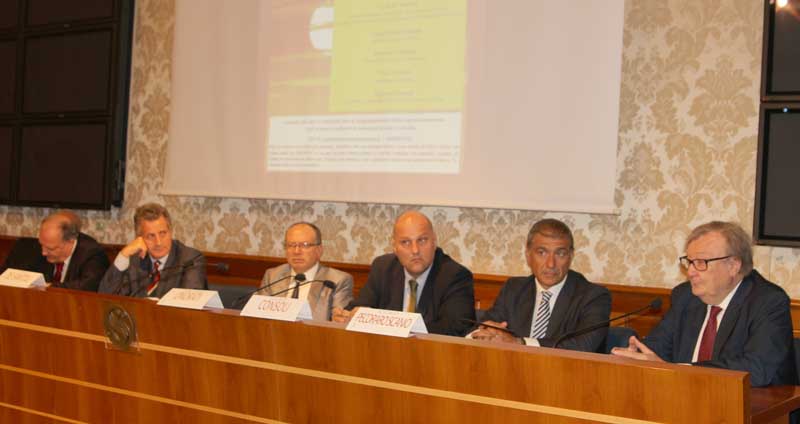 Angelo Consoli, Livio de Santoli, Gioacchino Onorati, Carlo Rubbia, Rosario Trefiletti Aracne editrice