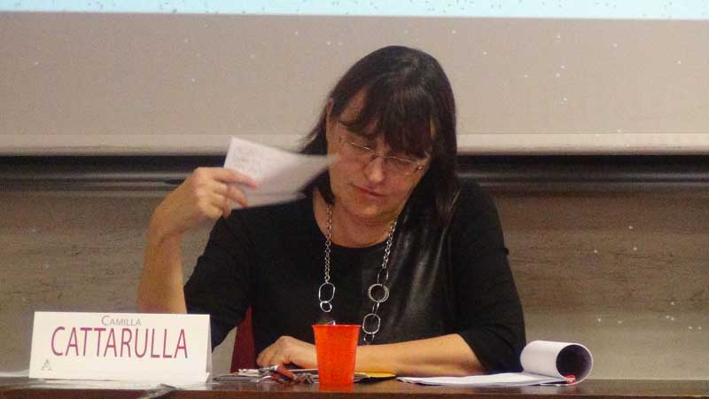 Camilla Cattarulla Aracne editrice