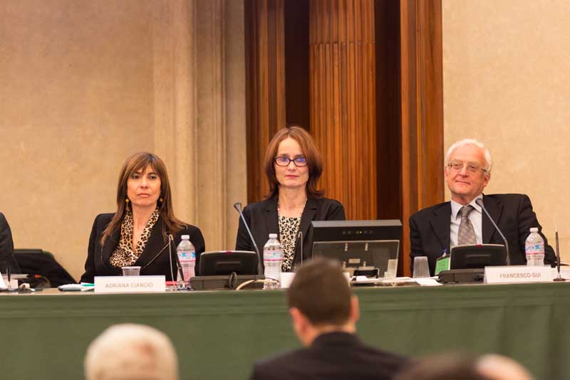 Adriana Ciancio, Francesco Gui, Ulrike Liebert Aracne editrice