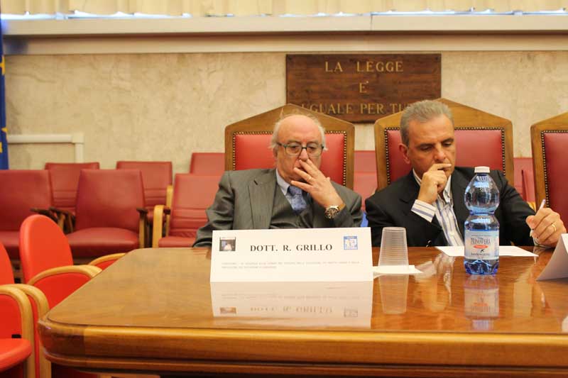 Roberto Giovanni Conti, Renato Grillo Aracne editrice