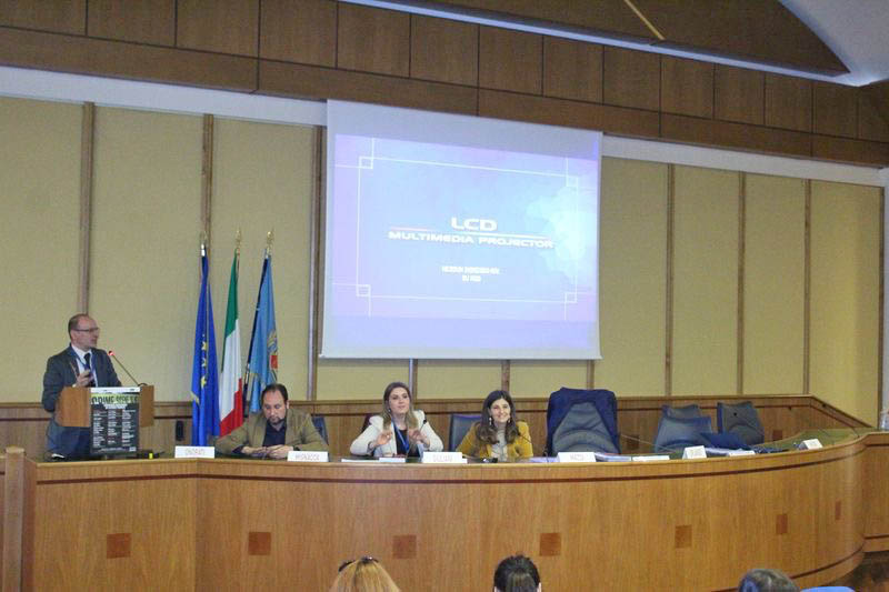 Francesco Mazza, Fabrizio Mignacca, Immacolata Giuliani, Antonella Minieri Aracne editrice
