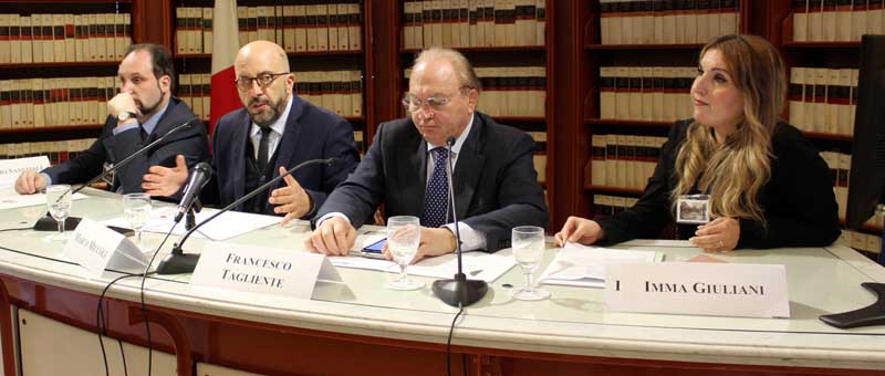 Immacolata Giuliani, Marco Miccoli, Fabrizio Mignacca, Francesco Pompeo Tagliente Aracne editrice