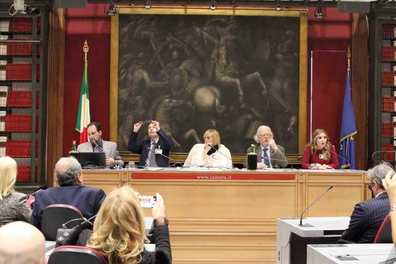 Fabrizio Mignacca, Fabio Melelli, Carlotta Bolognini, Franco Grattarola, Immacolata Giuliani Aracne editrice