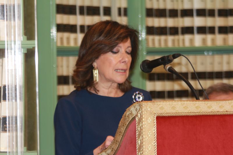 Maria Elisabetta Alberti Casellati Aracne editrice