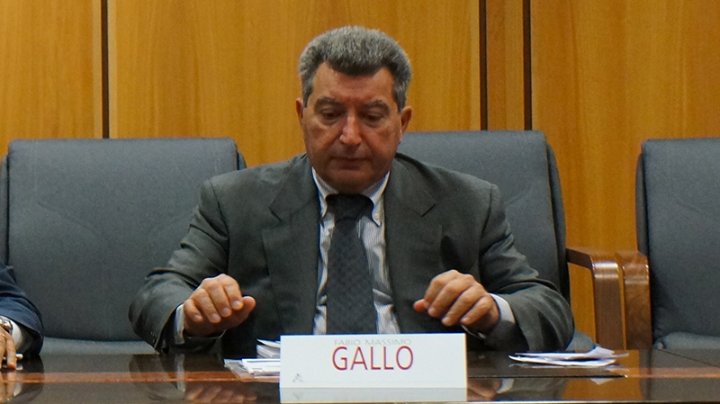 Fabio Massimo Gallo Aracne editrice