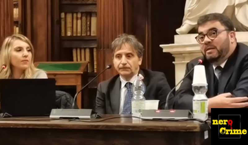 Immacolata Giuliani, Stefano Preziosi, Giulio Vasaturo Aracne editrice