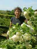 Fotografia di Franca Persia